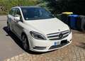 Mercedes-Benz B 220 4Matic 1. Hand Scheckheft gepflegt Alb - thumbnail 2