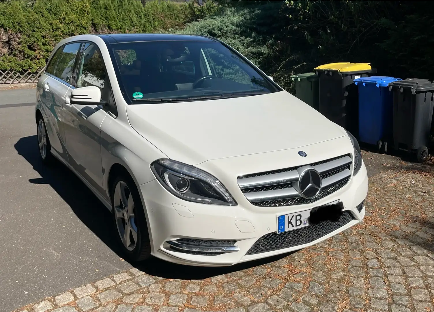 Mercedes-Benz B 220 4Matic 1. Hand Scheckheft gepflegt Alb - 2
