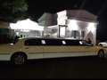 Lincoln Town Car Lincoln Town car limousine royale tel 3890144498 Weiß - thumbnail 11