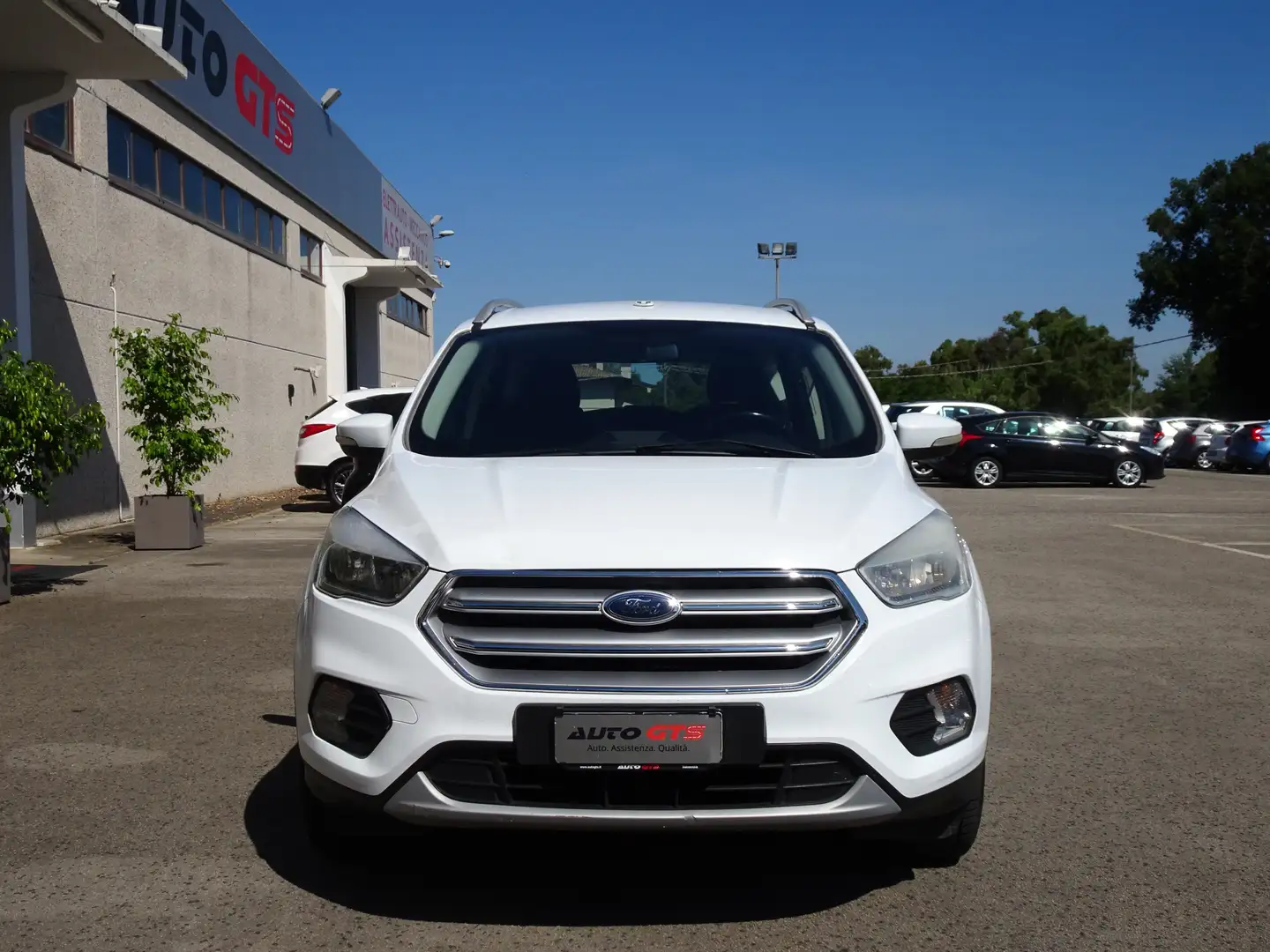 Ford Kuga Kuga 1.5 tdci Plus s&s Weiß - 2