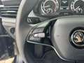 Skoda Kamiq 1.0 TSI Ambition 110pk Automaat / Stoelverwarming Negro - thumbnail 19