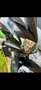 Kawasaki Z 750 - thumbnail 4