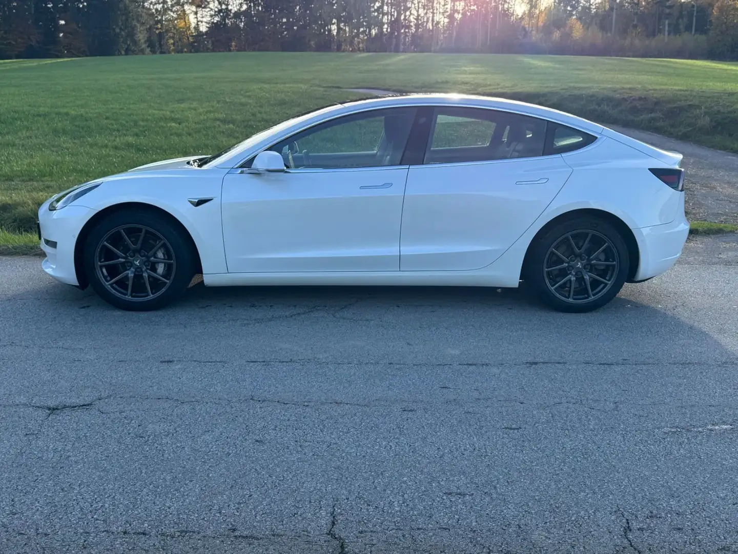 Tesla Model 3 Long Range Performance Dual AWD 1 HAND Weiß - 2