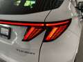 Hyundai TUCSON TUCSON 1.6 T-GDI N Line Mild-Hybrid Bianco - thumbnail 14