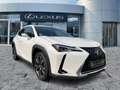 Lexus UX 250h AHK*KAM*DAB*SHZ Weiß - thumbnail 8