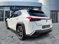 Lexus UX 250h AHK*KAM*DAB*SHZ Weiß - thumbnail 6