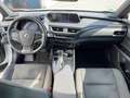 Lexus UX 250h AHK*KAM*DAB*SHZ Weiß - thumbnail 13