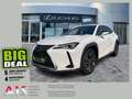 Lexus UX 250h AHK*KAM*DAB*SHZ Weiß - thumbnail 1