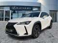 Lexus UX 250h AHK*KAM*DAB*SHZ Weiß - thumbnail 2