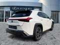 Lexus UX 250h AHK*KAM*DAB*SHZ Wit - thumbnail 7