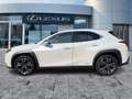 Lexus UX 250h AHK*KAM*DAB*SHZ Weiß - thumbnail 4