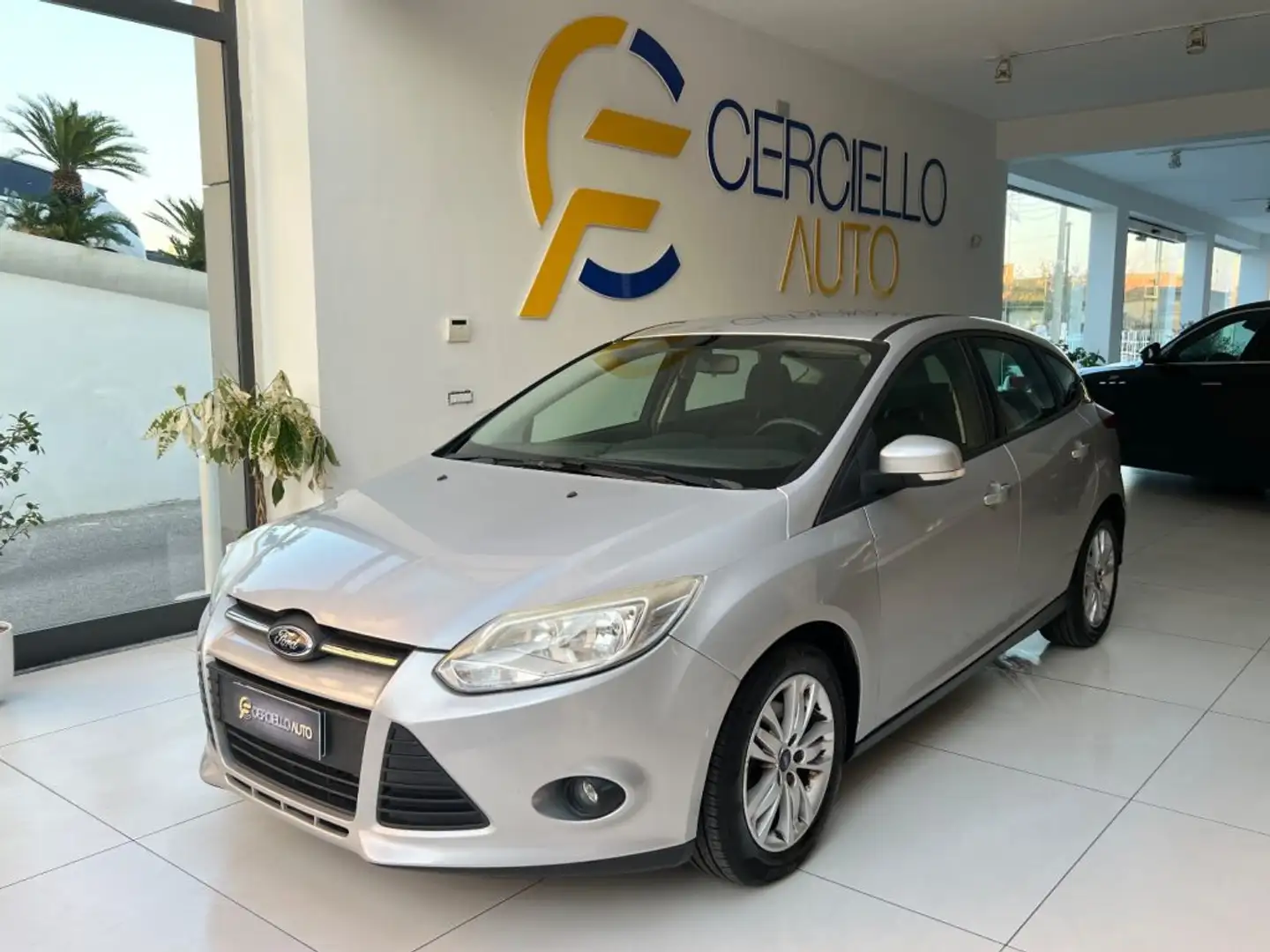 Ford Focus 1.6 TDCi 115 CV Grigio - 2
