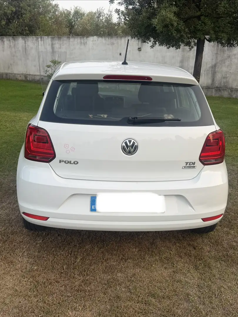 Volkswagen Polo 1.4 TDI BMT Edition 55kW - 2
