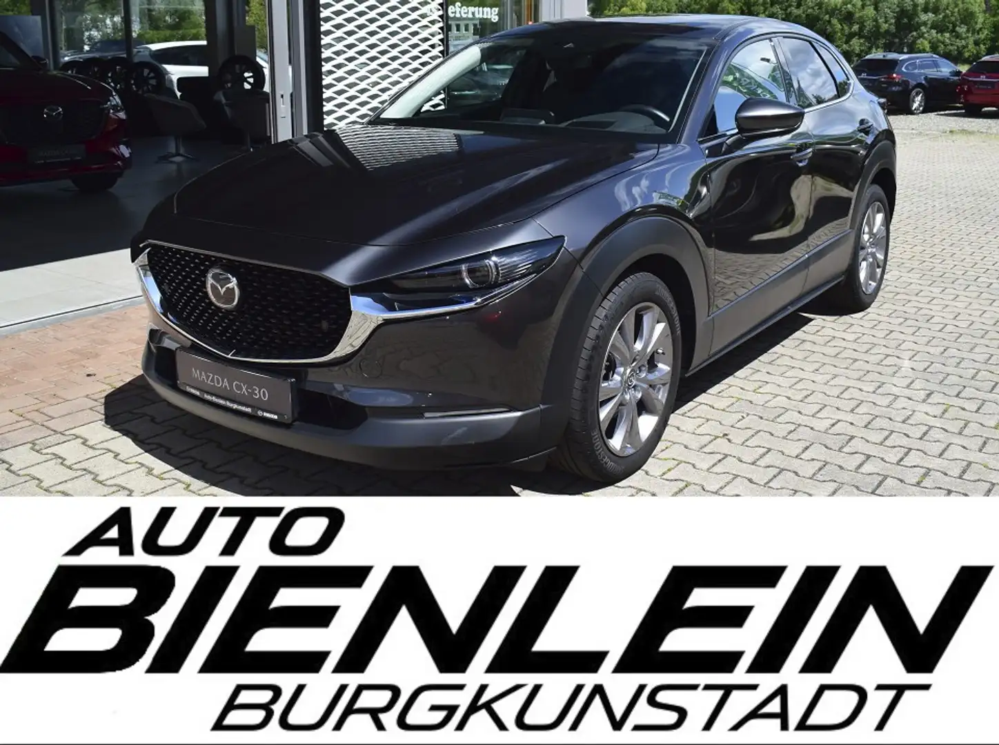 Mazda CX-30 2.0 150PS Selection A18 Design-P Standheizung AHK Grijs - 1