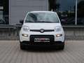 Fiat Panda Pandina 1,0 GSE Klimaanlage PDC M+S Weiß - thumbnail 3
