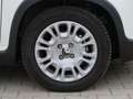 Fiat Panda Pandina 1,0 GSE Klimaanlage PDC M+S Weiß - thumbnail 9