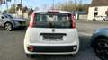 Fiat Panda Panda1.2iPrête a immatriculer Easy RADIO/ISOFIX Wit - thumbnail 4