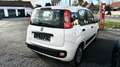 Fiat Panda Panda1.2iPrête a immatriculer Easy RADIO/ISOFIX Wit - thumbnail 5