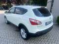 Nissan Qashqai Qashqai 1.6 dCi DPF Tekna 4X4 Bianco - thumbnail 6