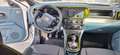 Fiat Grande Panda 1,2 T-Gen3 Pop Weiß - thumbnail 8