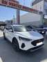 Ford Focus 1.0 Ecoboost MHEV Active Style SIP 155 Blanco - thumbnail 3