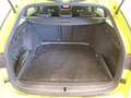 Skoda Octavia Combi RS 2.0TDI 4x4 DSG Matrix Navi HUD Rear View Grün - thumbnail 19