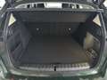 BMW iX1 xDrive30 ParkingAssistant Ad.M-Fahrwerk SH Grün - thumbnail 12
