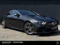 Mercedes-Benz CLS 220 CLS 220 d AMG Distro SHD MLED 360 Ambi Servoschl Grau - thumbnail 10