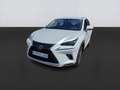 Lexus NX 300 2.5 300h Business Navigation 2WD - thumbnail 1