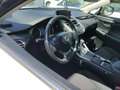 Lexus NX 300 2.5 300h Business Navigation 2WD - thumbnail 7
