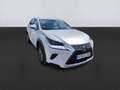 Lexus NX 300 2.5 300h Business Navigation 2WD - thumbnail 3