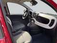 Fiat Pandina 1.0 GSE Hybrid Cross 51 kW, 5-türig Червоний - thumbnail 13