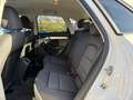 Audi Q3 =Automatik-Allwetterreifen-Xenon= Bianco - thumbnail 13