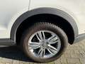 Audi Q3 =Automatik-Allwetterreifen-Xenon= Weiß - thumbnail 27
