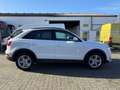 Audi Q3 =Automatik-Allwetterreifen-Xenon= Bianco - thumbnail 4
