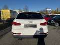Audi Q3 =Automatik-Allwetterreifen-Xenon= Bianco - thumbnail 6