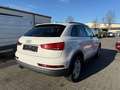 Audi Q3 =Automatik-Allwetterreifen-Xenon= Bianco - thumbnail 5