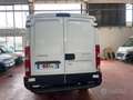 Iveco daily 35s15 medio Bianco - thumbnail 5