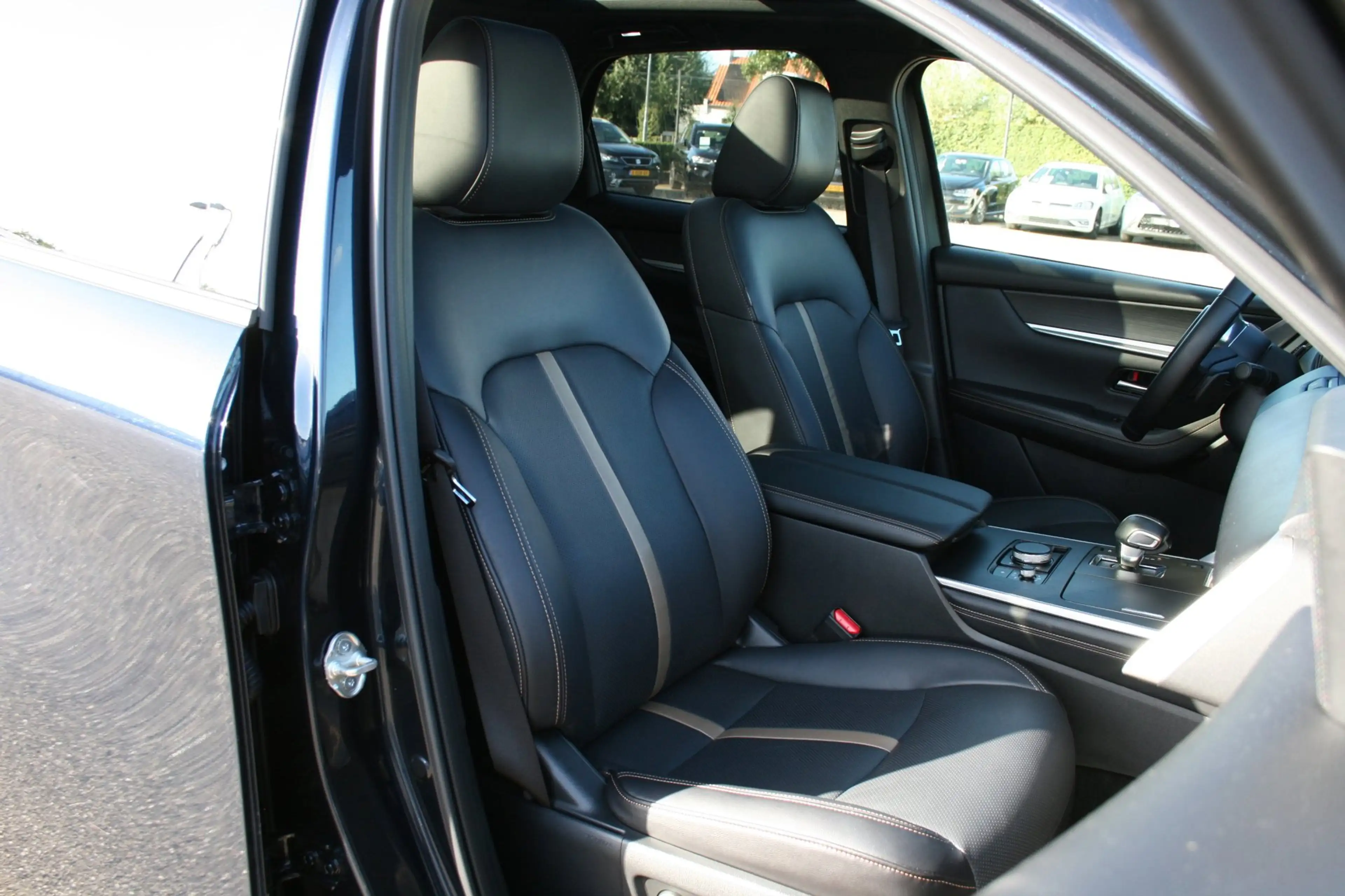 Mazda CX-60 2.5 e-SkyActiv PHEV Homura Plus — photo 13