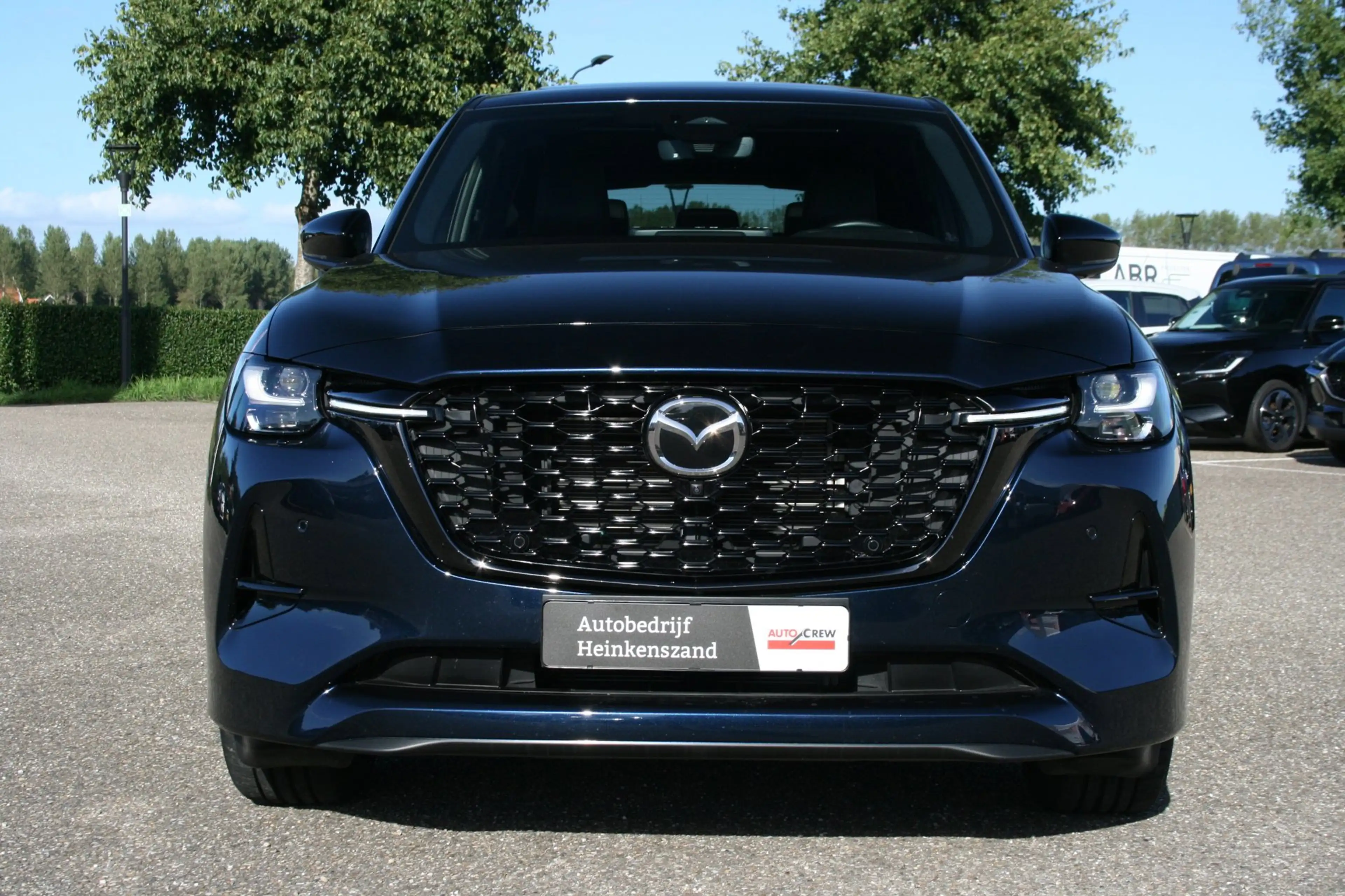 Mazda CX-60 2.5 e-SkyActiv PHEV Homura Plus — photo 3