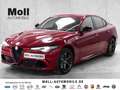 Alfa Romeo Giulia Quadrifoglio ASSISTENT- AKRAPOVIC-19 ZOLL crvena - thumbnail 1