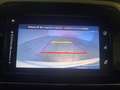 Suzuki Vitara Vitara II 2018 1.0 boosterjet Cool 4wd allgrip Blanc - thumbnail 17