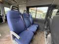 Iveco Daily Autocarro Trasporto cose e persone Bianco - thumbnail 5