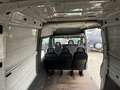Iveco Daily Autocarro Trasporto cose e persone Bianco - thumbnail 11