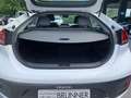 Hyundai IONIQ 1,6 GDi Plug-In PHEV Taxi DCT Aut. Weiß - thumbnail 14