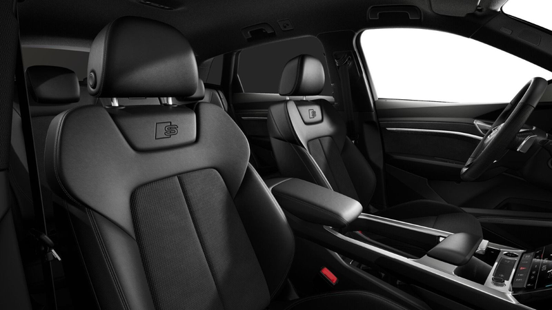 Audi Q8 e-tron 55 quattro Advanced, Matrix, AHK, HuD, — photo 9