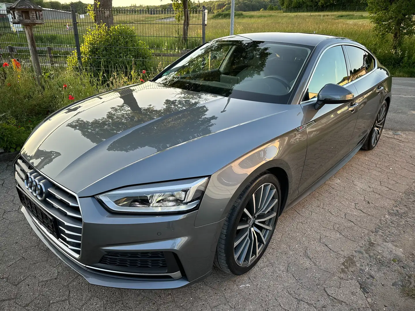 Audi A5 50 TDI quattro sport AHK Matrix S-Line Gris - 1