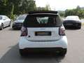 smart forTwo EQ  cabrio prime exclusive-Paket Leder 22kw Weiß - thumbnail 4
