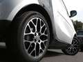 smart forTwo EQ  cabrio prime exclusive-Paket Leder 22kw Weiß - thumbnail 5
