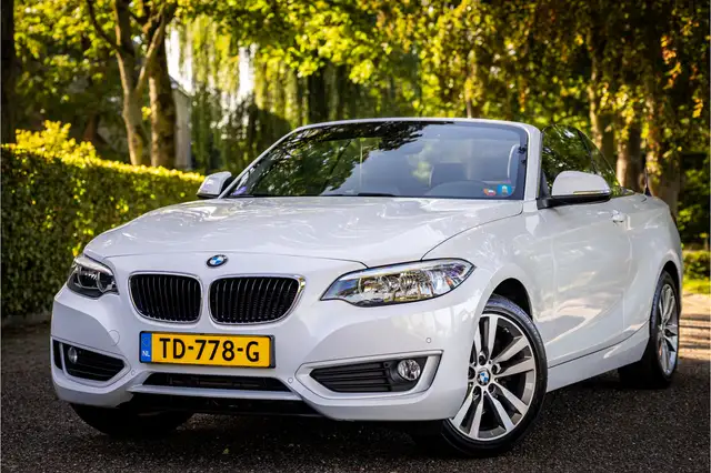 BMW 228 2-serie Cabrio 228i High Executive Leder Windscher